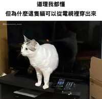 https://images.plurk.com/5DbV8F6qWgWAWnFZzcdBs1.png