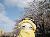 https://images.plurk.com/5DdB4rqEA9LqCSQx367gdM.jpg