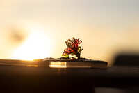 https://images.plurk.com/5DdvnBCojFS8q6sR6lSf9c.jpg