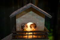 https://images.plurk.com/5DlHsgwkzzDDV4tXg3gM5x.jpg