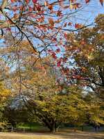 https://images.plurk.com/5DnNY7MhZy9rmufdnkpOFJ.jpg