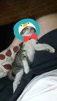 https://images.plurk.com/5DokbrTmURAtDgpM9R1hro.jpg
