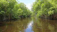 https://images.plurk.com/5Dx1z2vlxjnJj08hqSqQyu.jpg