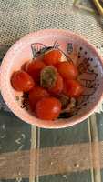 https://images.plurk.com/5Dy1yPbatIcq0XpR0Jht7.jpg
