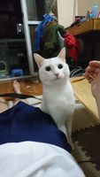 https://images.plurk.com/5E0jWqybxVSd5bQKjSFz.jpg