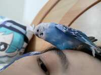https://images.plurk.com/5E70HzzejYRYKCMnfnlDoV.jpg