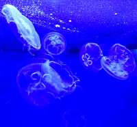 https://images.plurk.com/5ECtnh94KClCasaL6xUgLo.jpg