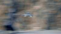 https://images.plurk.com/5EIl1lljpBoFuhD5PcekRG.gif
