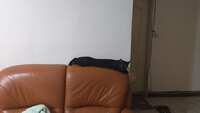 https://images.plurk.com/5EYPg4z8FnPb88A8xCLMJJ.jpg