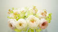 https://images.plurk.com/5EfCkET7BB5kjUmtiW1TMI.jpg