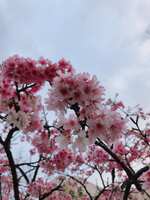 https://images.plurk.com/5EgIdKrsmGP1DEyhccAPBN.jpg