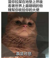 https://images.plurk.com/5EkNOg5yOcRsaxCH3WDsbB.jpg