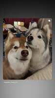 https://images.plurk.com/5ElxTx3WgEN9ipHjbwfTl7.jpg