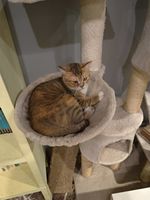 https://images.plurk.com/5EoQxJNh46PemYTocN7aPm.jpg
