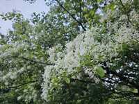 https://images.plurk.com/5EqZX2Oi8MVKyB26Yqhrax.jpg
