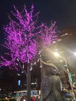 https://images.plurk.com/5ErPaP1hCQ3lQaJMaqvzJb.jpg