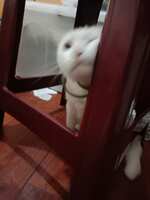 https://images.plurk.com/5F0jZPZCaT8s9GH0fn2GV5.jpg
