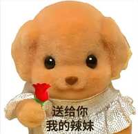 https://images.plurk.com/5FCNB93GncV6jfJBDSdIur.jpg