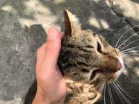 https://images.plurk.com/5FEzq6g3nNCrKG3CuY6FzP.jpg