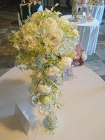 https://images.plurk.com/5FGWl1FTwqtutobgKj8NuZ.jpg