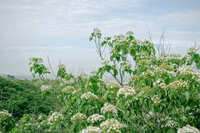 https://images.plurk.com/5FHaIkm1f1g4rNlCJfbP51.jpg