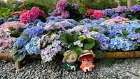 https://images.plurk.com/5FIlQi7tRMwd4ZDZ9SDH2P.jpg