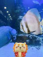 https://images.plurk.com/5FKnEXg9Cyq5Z5mM8N0h9D.jpg