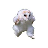 https://images.plurk.com/5FLQaLuFUJ9EPUYMKivyIY.jpg