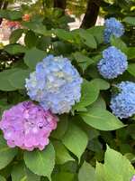 https://images.plurk.com/5FMHoTqXeLBWa7QWthoc5A.jpg