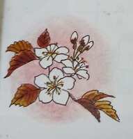 https://images.plurk.com/5FRHi24o9rZB2JpZAn9Aiv.jpg
