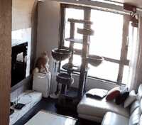 https://images.plurk.com/5FRdt6VeYJOJvxV1oGcn46.gif