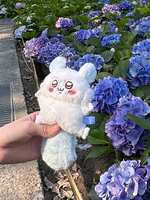 https://images.plurk.com/5FUOr9xWgpZIXerxk6RKts.jpg