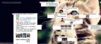 https://images.plurk.com/5FUd5iB6cGRqlX1h85awhF.gif