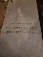 https://images.plurk.com/5FW8URcnp1AeEx5Hn1XkOm.jpg