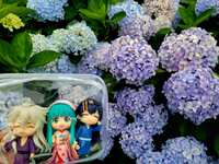 https://images.plurk.com/5FWjOY8o3zR0o9RdmGkPcq.jpg