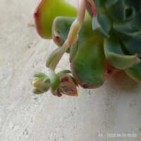 https://images.plurk.com/5FZhAhefooCJKqpTFDBTBH.jpg