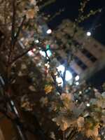 https://images.plurk.com/5Fkz7gaMOipOKuPg7QxYbq.jpg