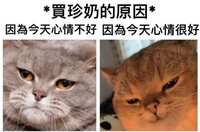 https://images.plurk.com/5FrvTYPDTg8A7sRD8ELu8.jpg