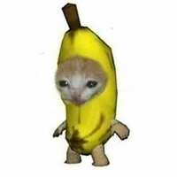 https://images.plurk.com/5Fts9BQOrmFIhpq6g6I2N7.jpg