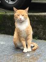 https://images.plurk.com/5G7t8L8K8xq0O9bZQVkpAb.jpg