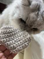 https://images.plurk.com/5GAtlnint5ovDIsC8Rbem7.jpg