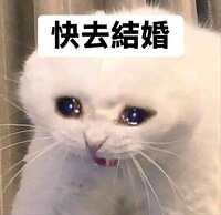 https://images.plurk.com/5GMz4TSKtkegfn0uImnOlm.jpg