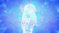 https://images.plurk.com/5GY7I3Ixmt37jJaXIVW8pW.jpg