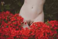 https://images.plurk.com/5GbWW7iNokpfY2lyCBRrMI.png