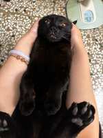 https://images.plurk.com/5GfjdysqyHtsyH3Rmdg6t0.jpg