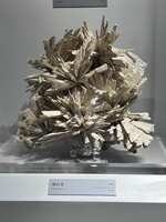 https://images.plurk.com/5GlePfYNXHnKhzY0rTMol3.jpg
