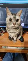 https://images.plurk.com/5Gm9CheIuZvK2rUm01NYkH.jpg