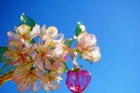 https://images.plurk.com/5GzID92gMTOoZpy04LuqDJ.jpg