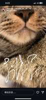https://images.plurk.com/5H2PX4W6K0Cly3ccL88h6S.png