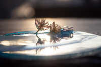 https://images.plurk.com/5HAsGdYdBoLS9yqSBMc0zK.jpg